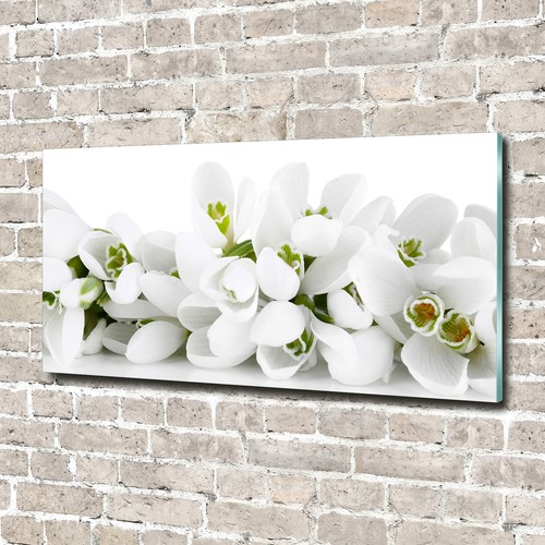 Plexiglas print acrylic - plexiglas®,