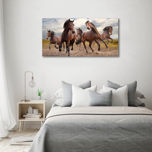Plexiglas print acrylic - acrylic, wall