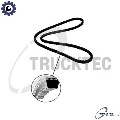 Vbelt 033 for - vbelt, 2.3l
