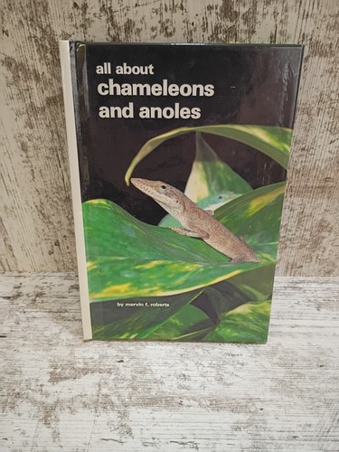 All about chameleons and - all,