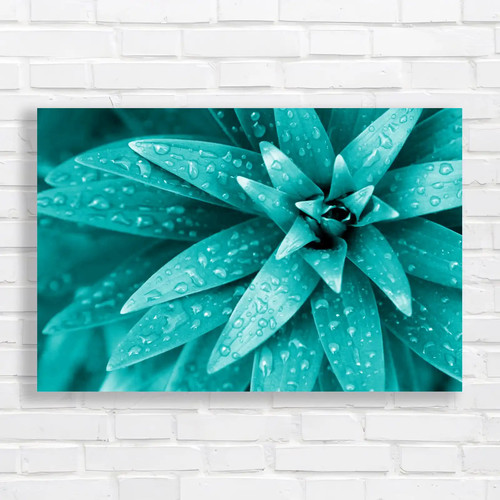 Fresh rain droplets - rain,