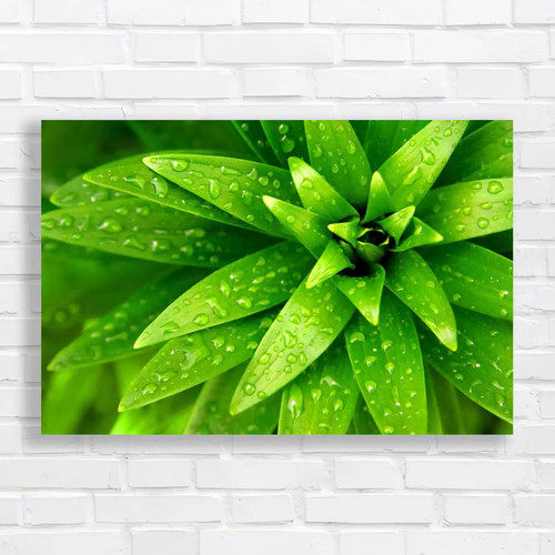Fresh rain droplets - droplets, bright