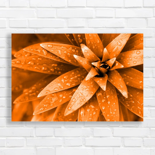 Fresh rain droplets - fresh,