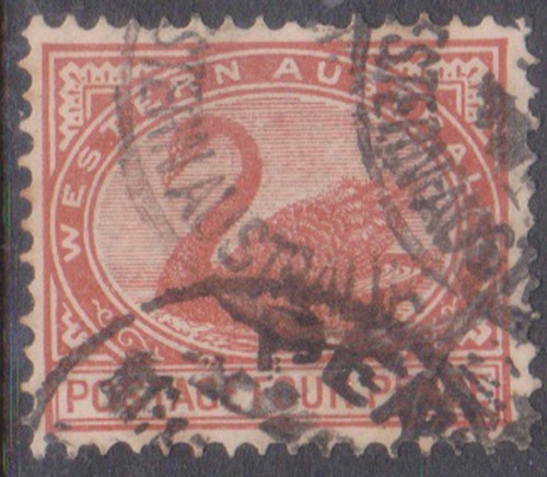 1901 4d brown - (f374-45), wa
