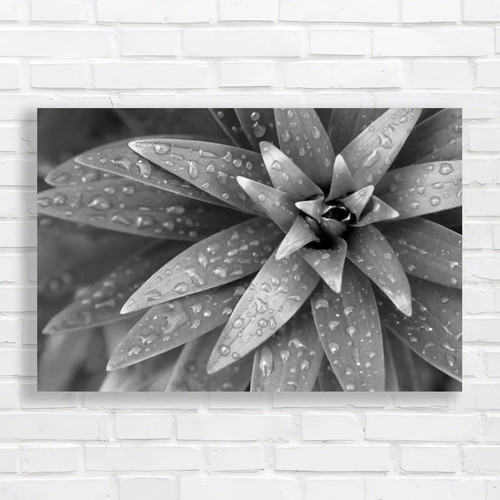 Fresh rain droplets - rain, on