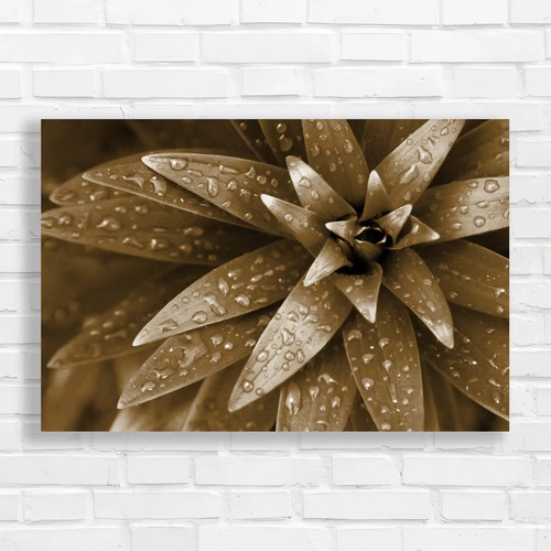 Fresh rain droplets - droplets, on