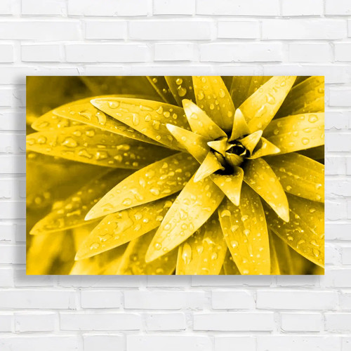 Fresh rain droplets - fresh,