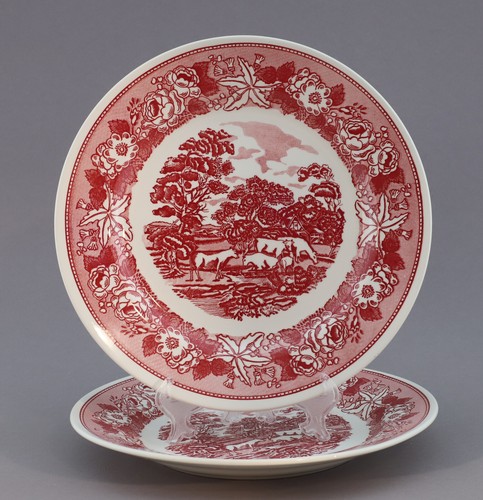 Soup plate 24cm swiss - plate, n.f.