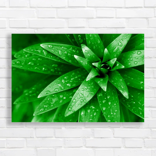 Fresh rain droplets - rain, bright