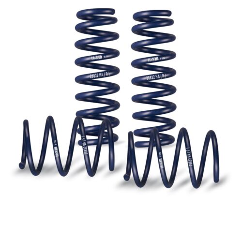 Springs for bmw - h+r,