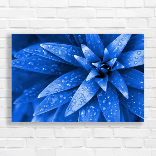 Fresh rain droplets bright - on,